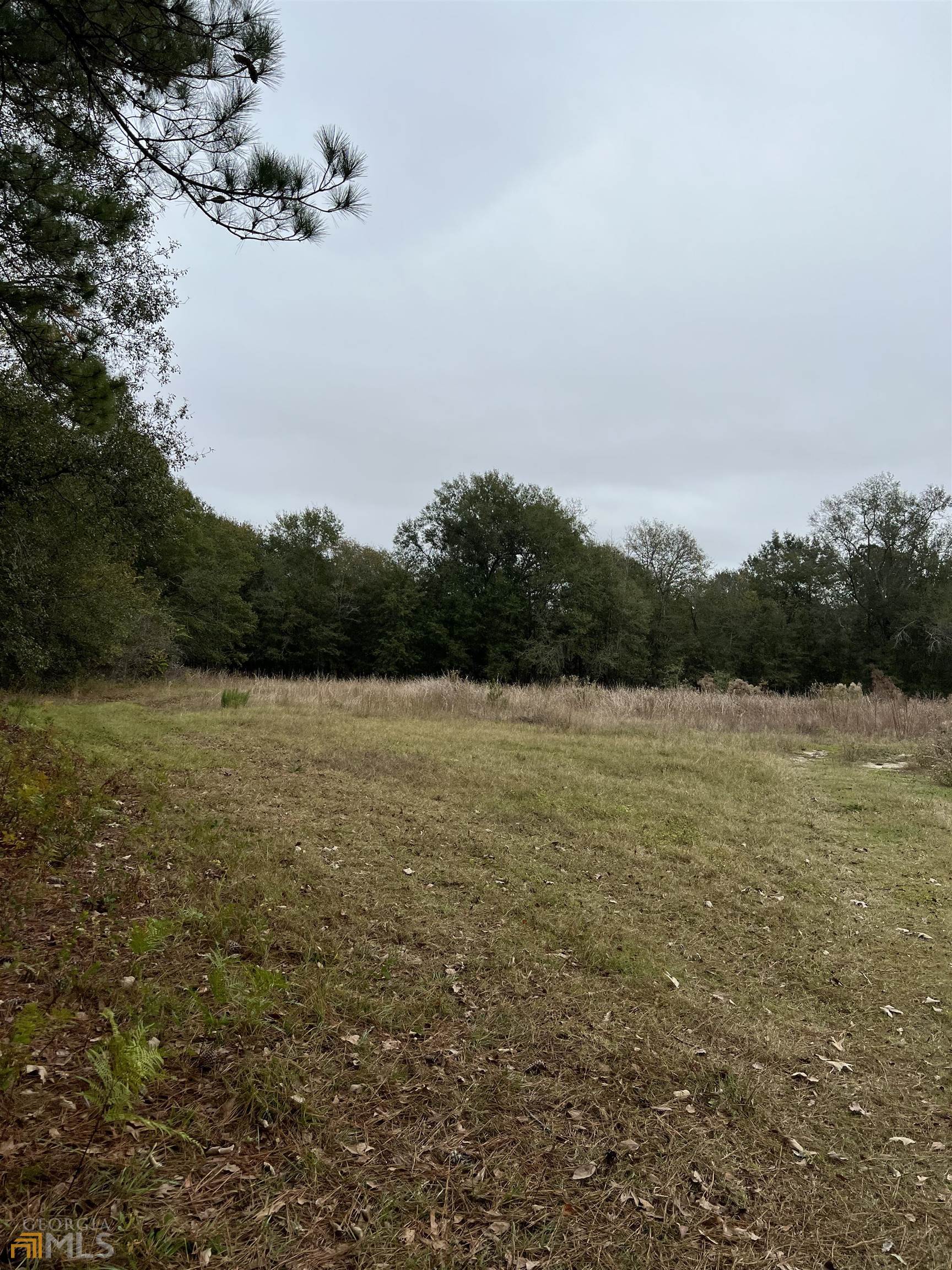 0 Ben Lane Road Garfield, GA 30425 - Photo 1 of 1 Gallery Image 1
