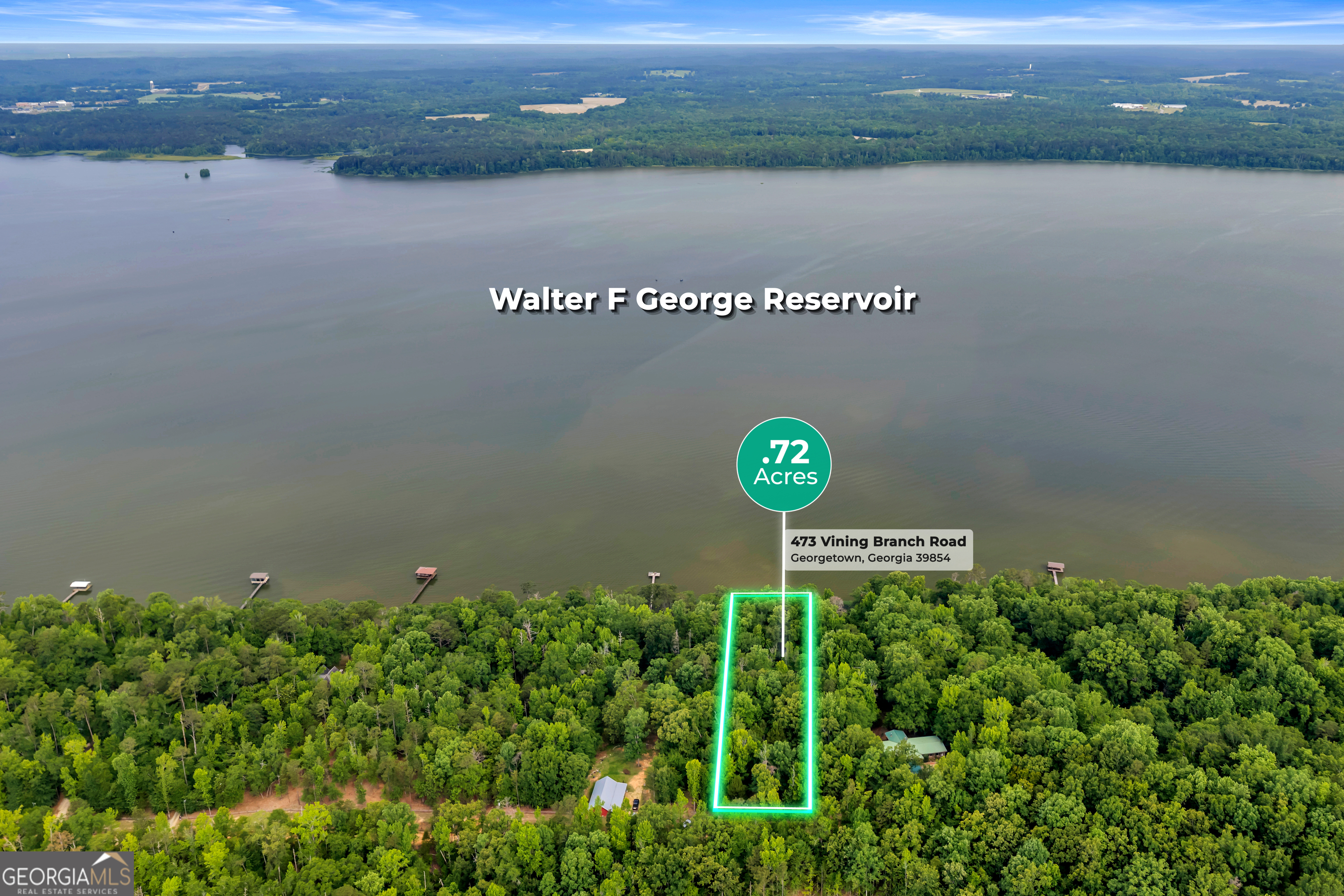 473 Vining Branch Road Georgetown, GA 39854 - Photo 2 of 43 an aerial view of a city