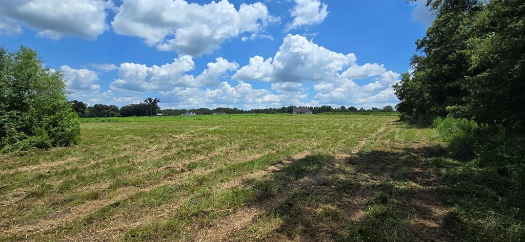 91 County Road 91 Slocomb, AL 36375 - Photo 13 of 18