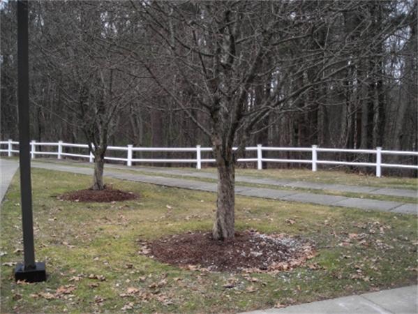 175 Littleton Road, Unit A 11 Chelmsford, MA 01824 - Photo 20 of 26 Gallery Image 20