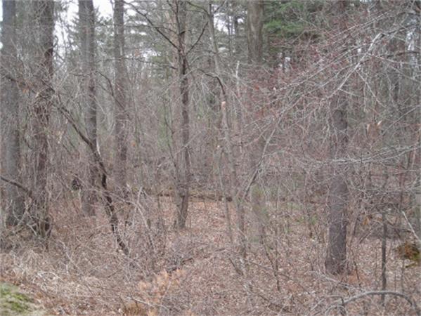 175 Littleton Road, Unit A 11 Chelmsford, MA 01824 - Photo 26 of 26 Gallery Image 26
