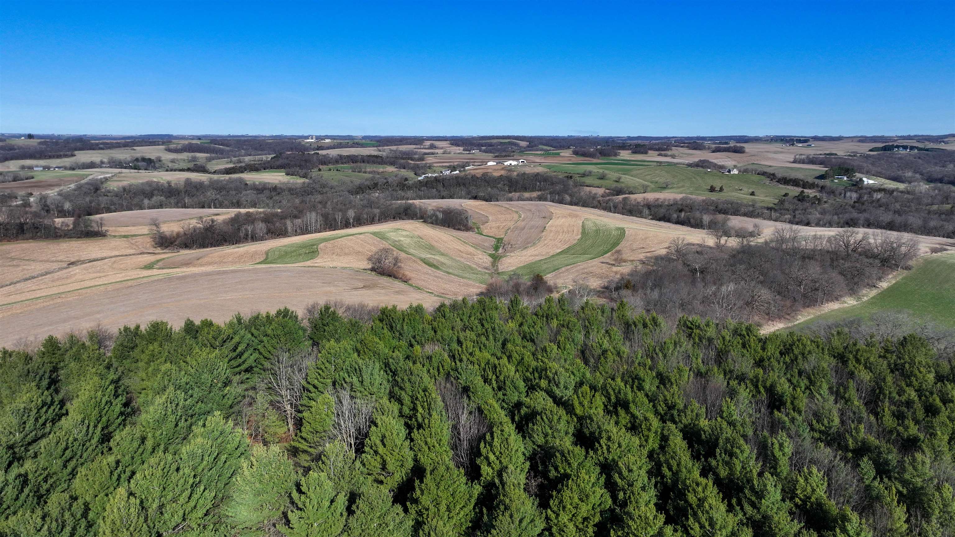 229.98-acres Whitcomb Lane Lancaster, WI 53813 - Photo 42 of 57
