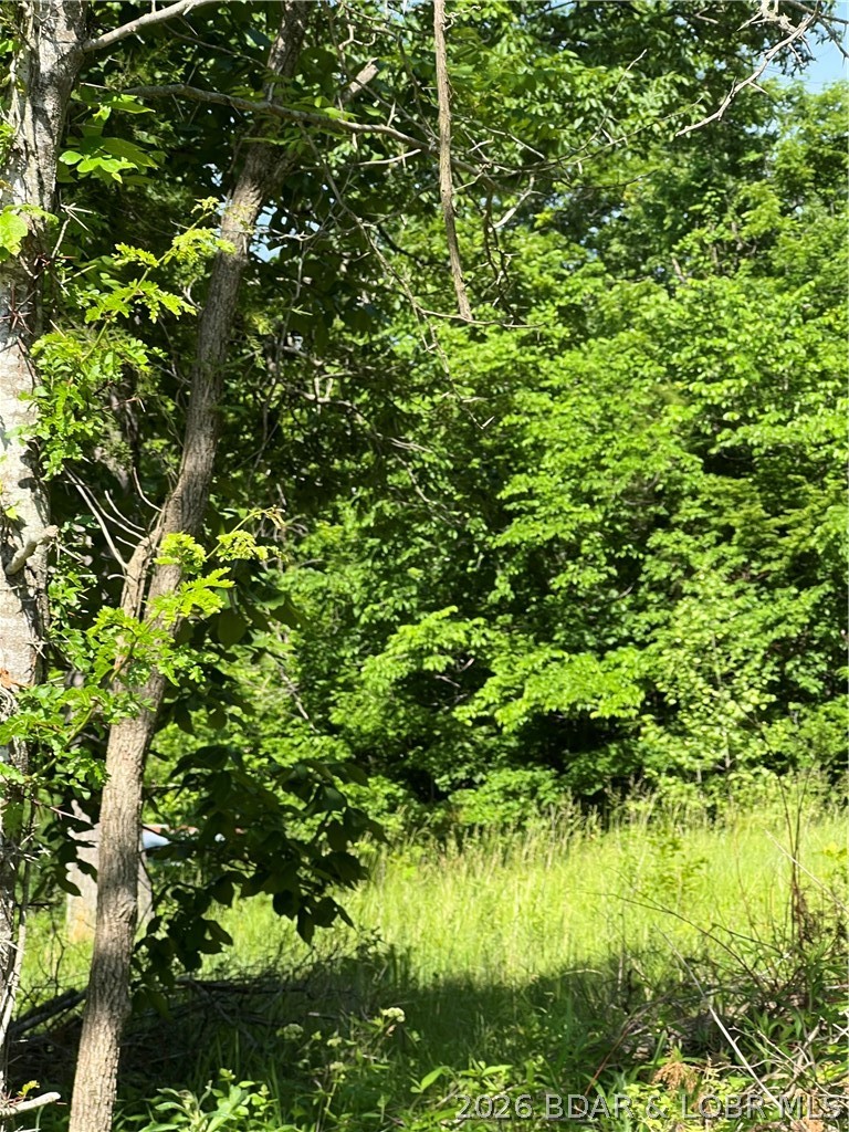 27293 Little Buffalo Road Stover, MO 65078 - Photo 2 of 10