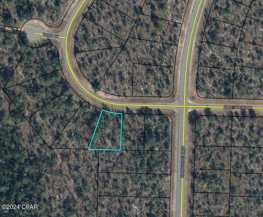 Tbd Tbd Drive Chipley, FL 32428 - Photo 4 of 4