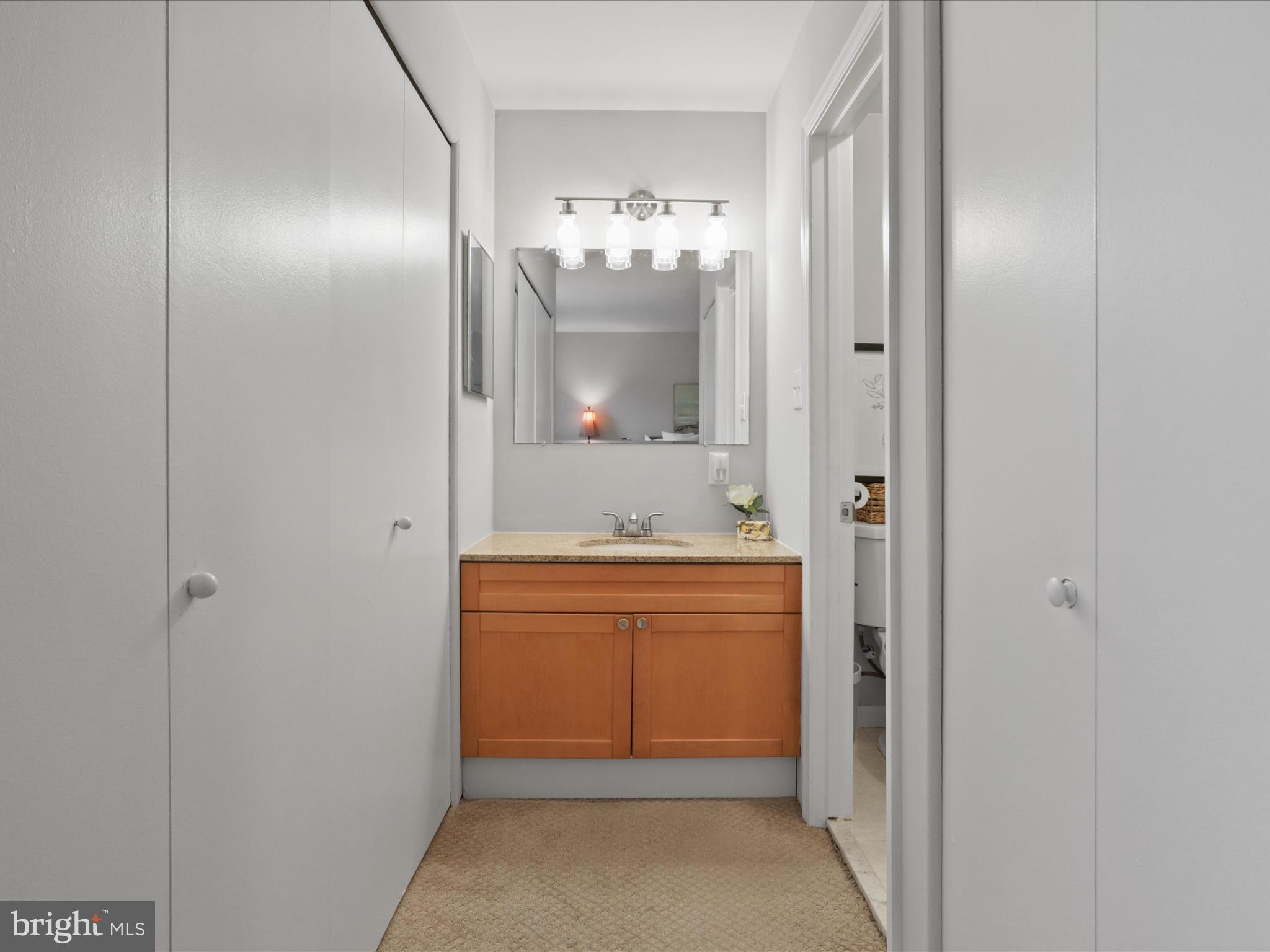 6558 Gildar Street Alexandria, VA 22310 - Photo 19 of 53 a bathroom with sink shower and mirror