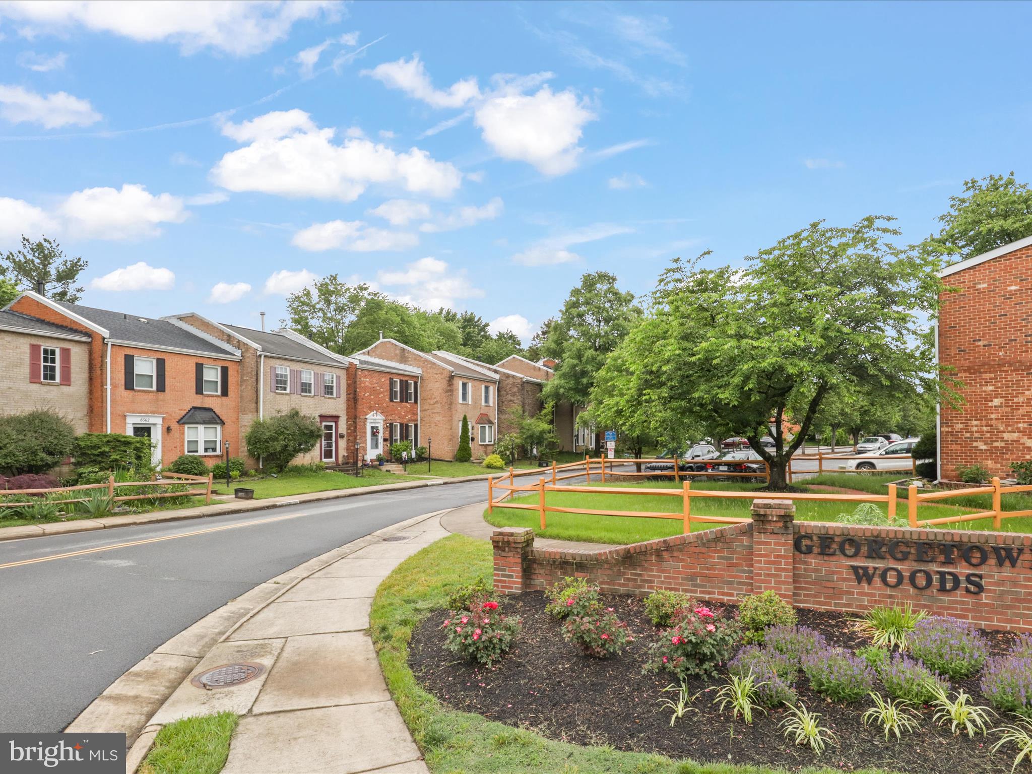 6558 Gildar Street Alexandria, VA 22310 - Photo 3 of 53 a view of a swimming pool with a garden and trees