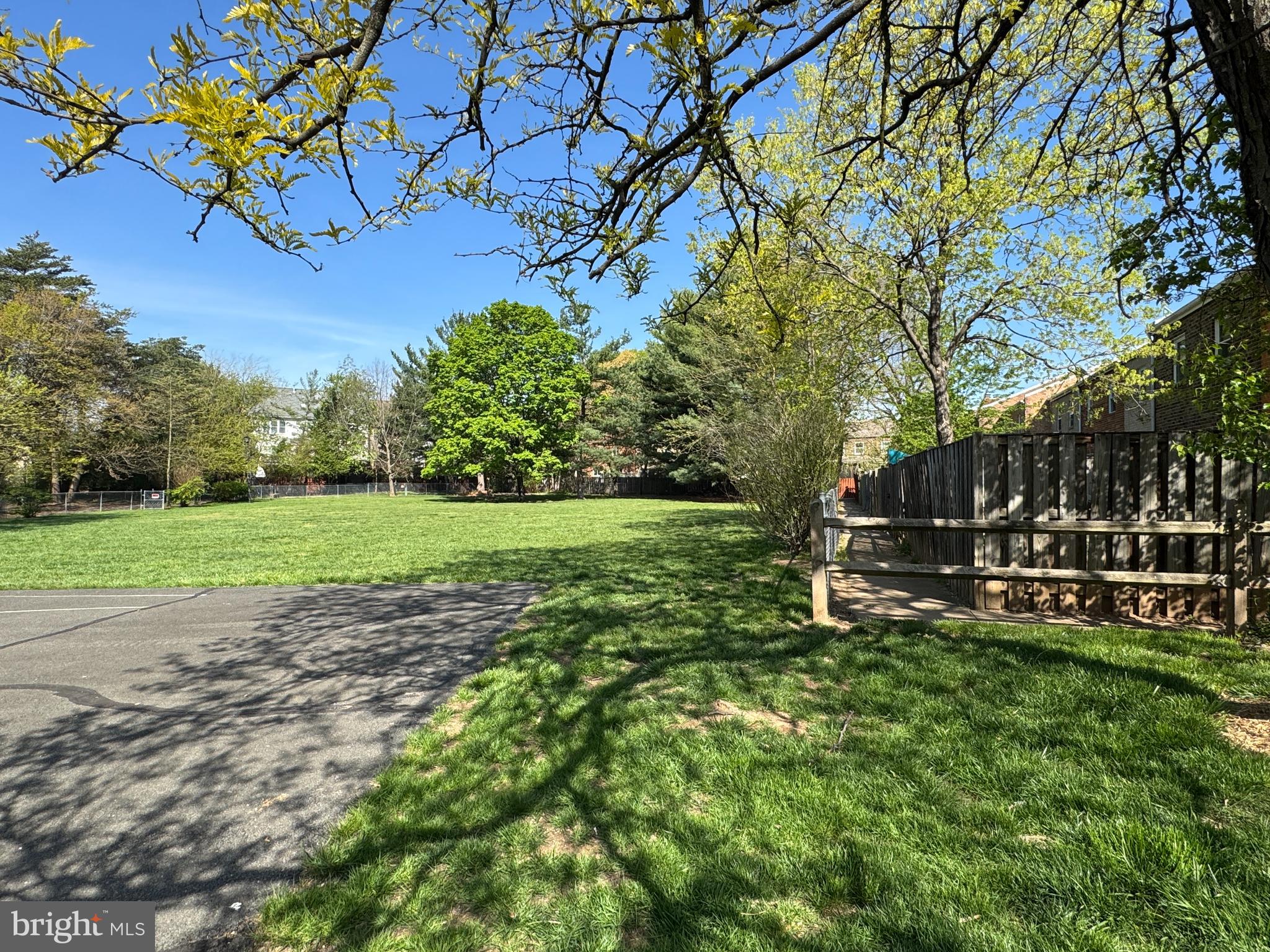 6558 Gildar Street Alexandria, VA 22310 - Photo 34 of 53 a view of a yard with plants and trees