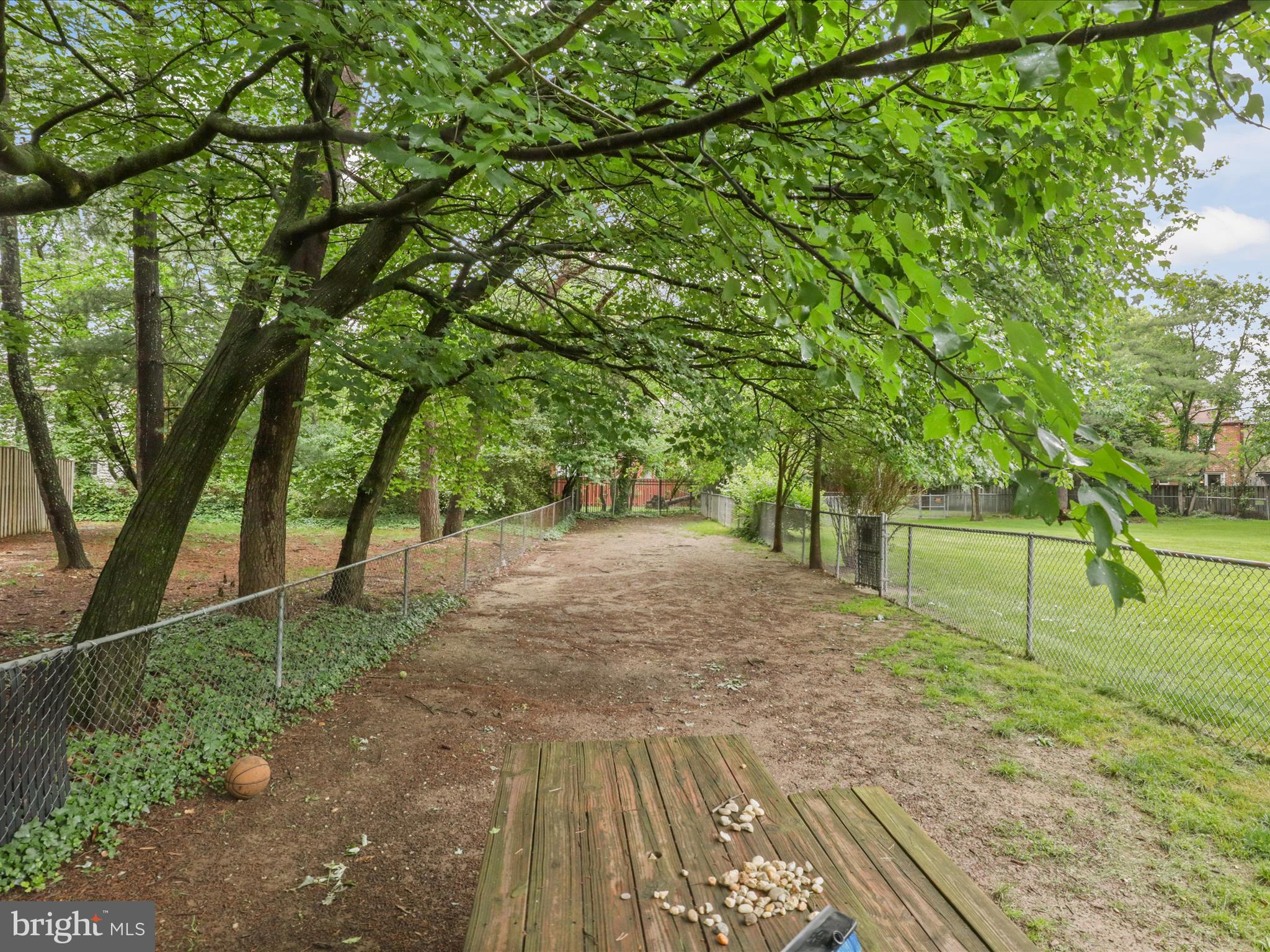 6558 Gildar Street Alexandria, VA 22310 - Photo 44 of 53 a view of backyard with tree