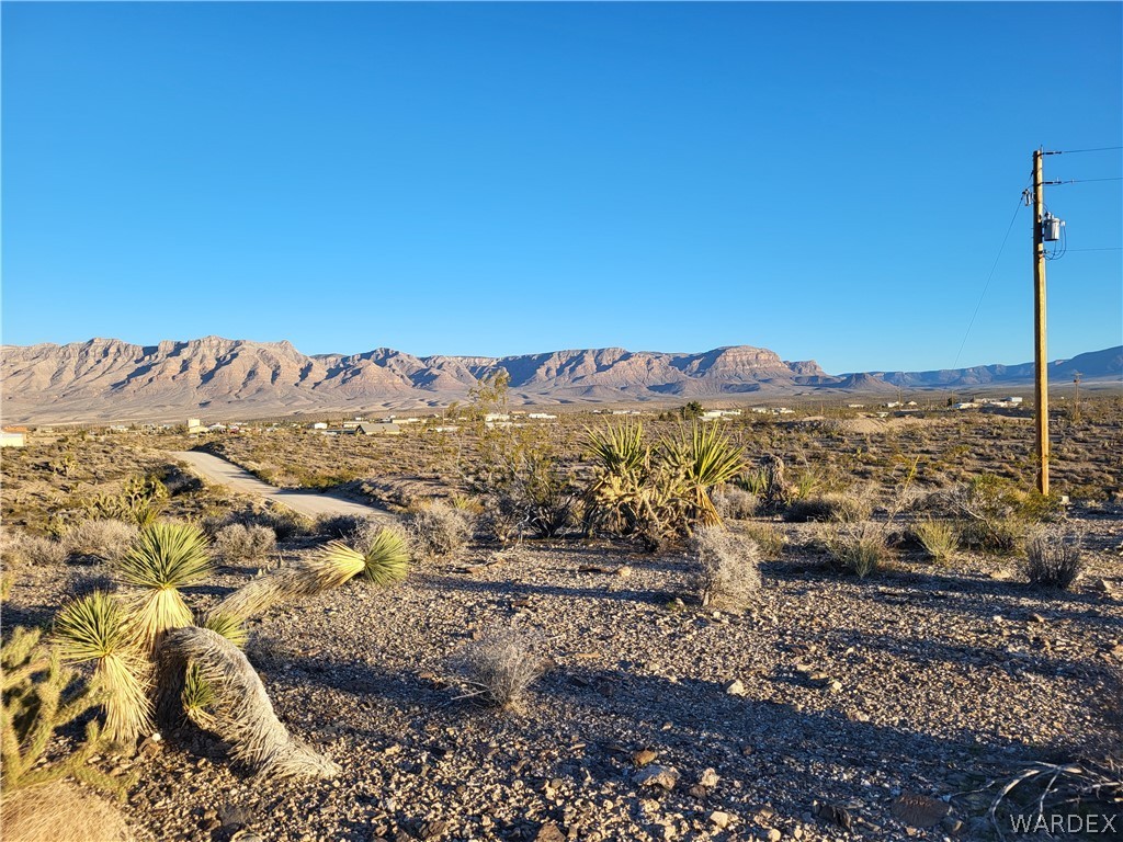 1441 Middle Point Drive Meadview, AZ 86444 - Photo 4 of 7