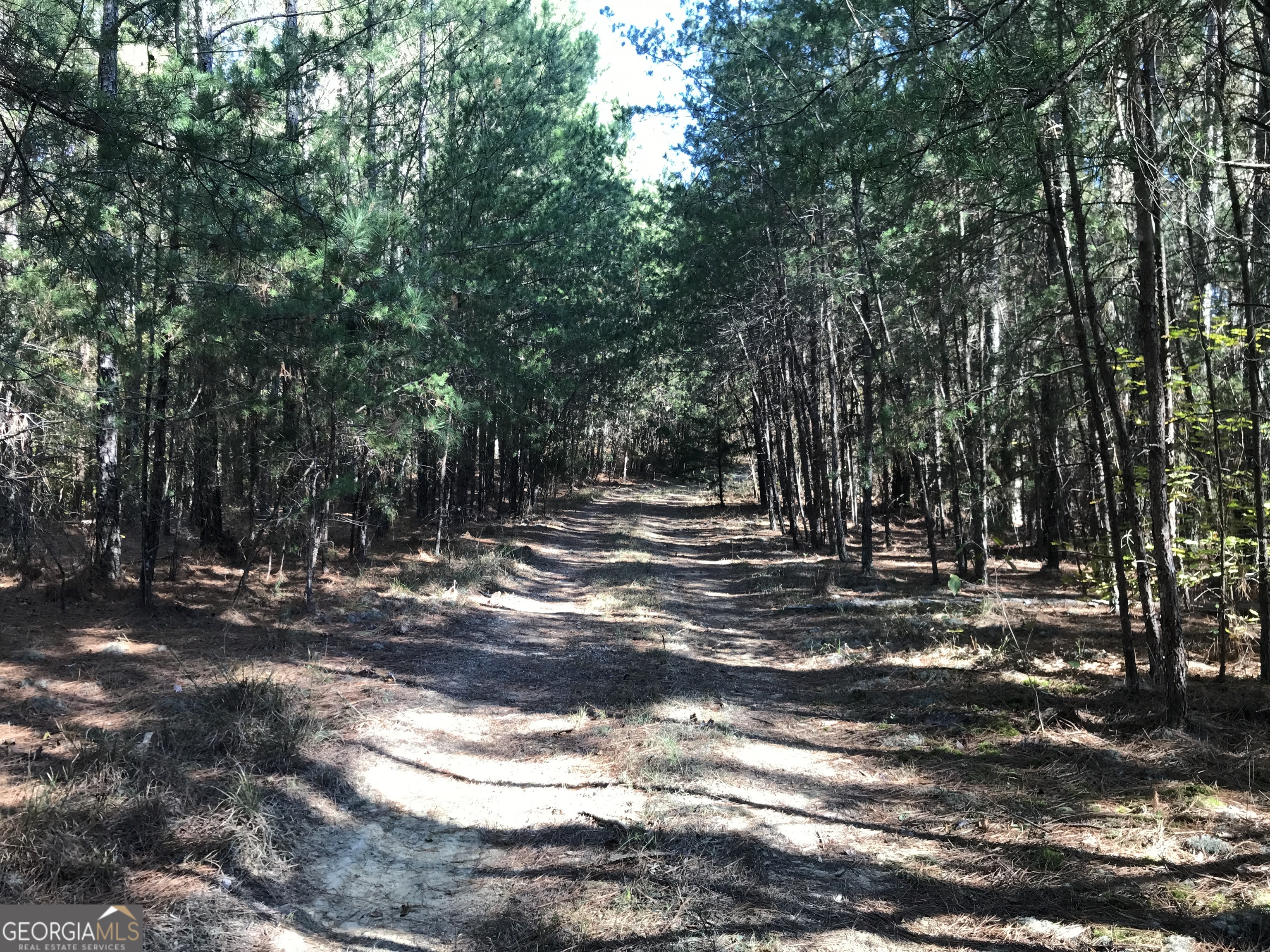 0 Red Bone Ridge Road, Unit 9616 Ranger, GA 30734 - Photo 13 of 31 a view of outdoor space with trees