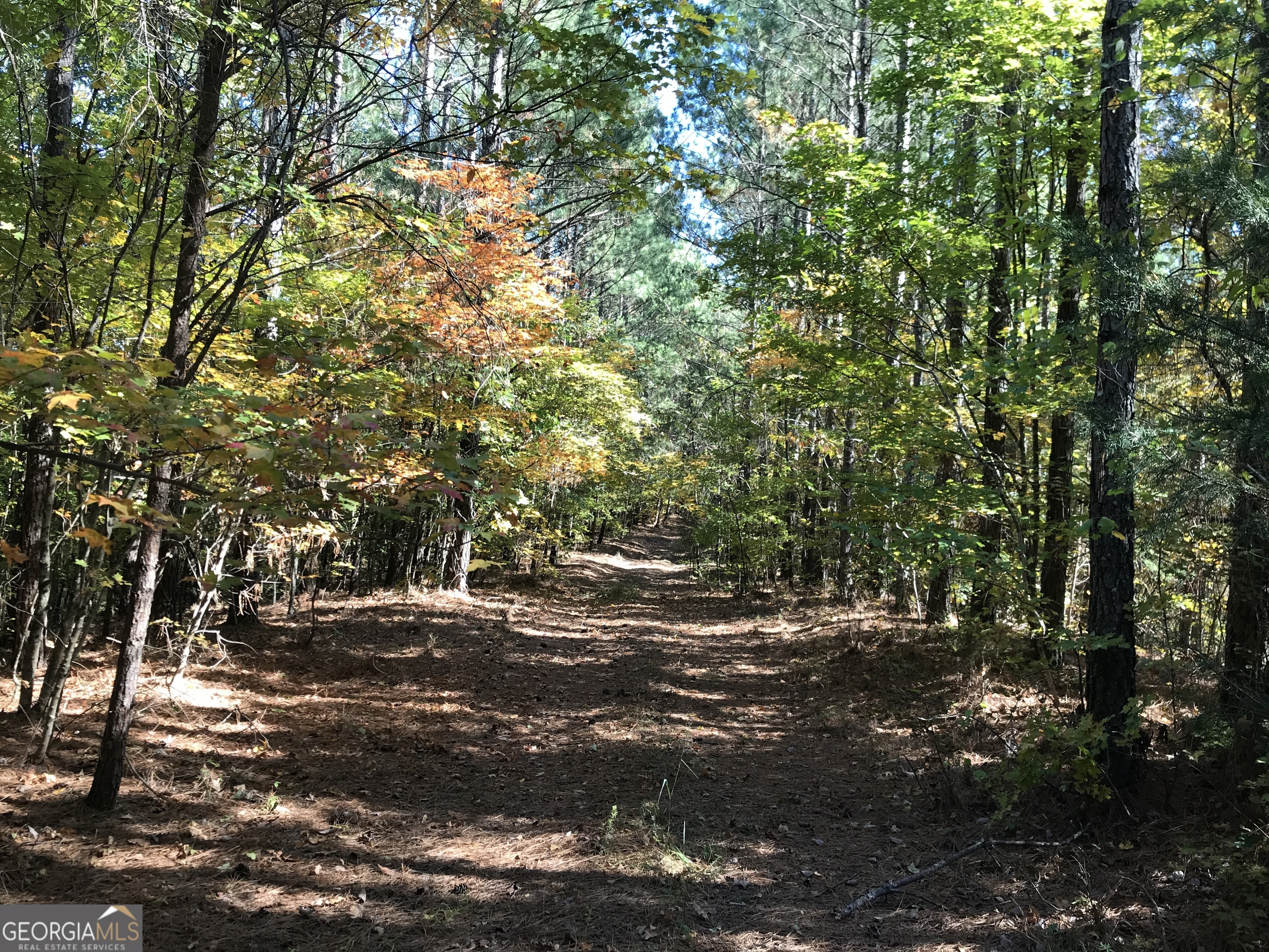 0 Red Bone Ridge Road, Unit 9616 Ranger, GA 30734 - Photo 14 of 31 a view of outdoor space with trees