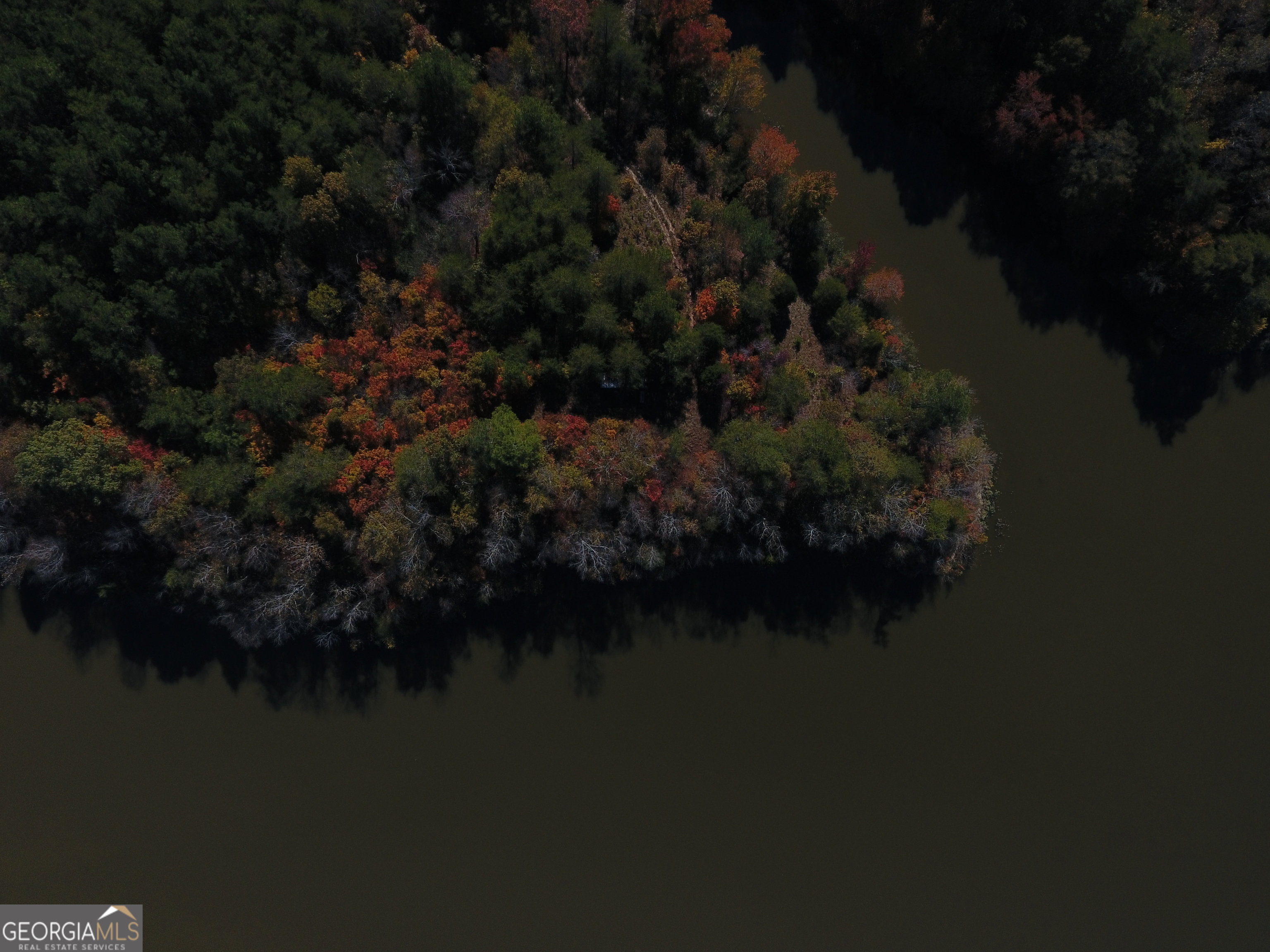 0 Red Bone Ridge Road, Unit 9616 Ranger, GA 30734 - Photo 21 of 31 a view of a lake and a yard