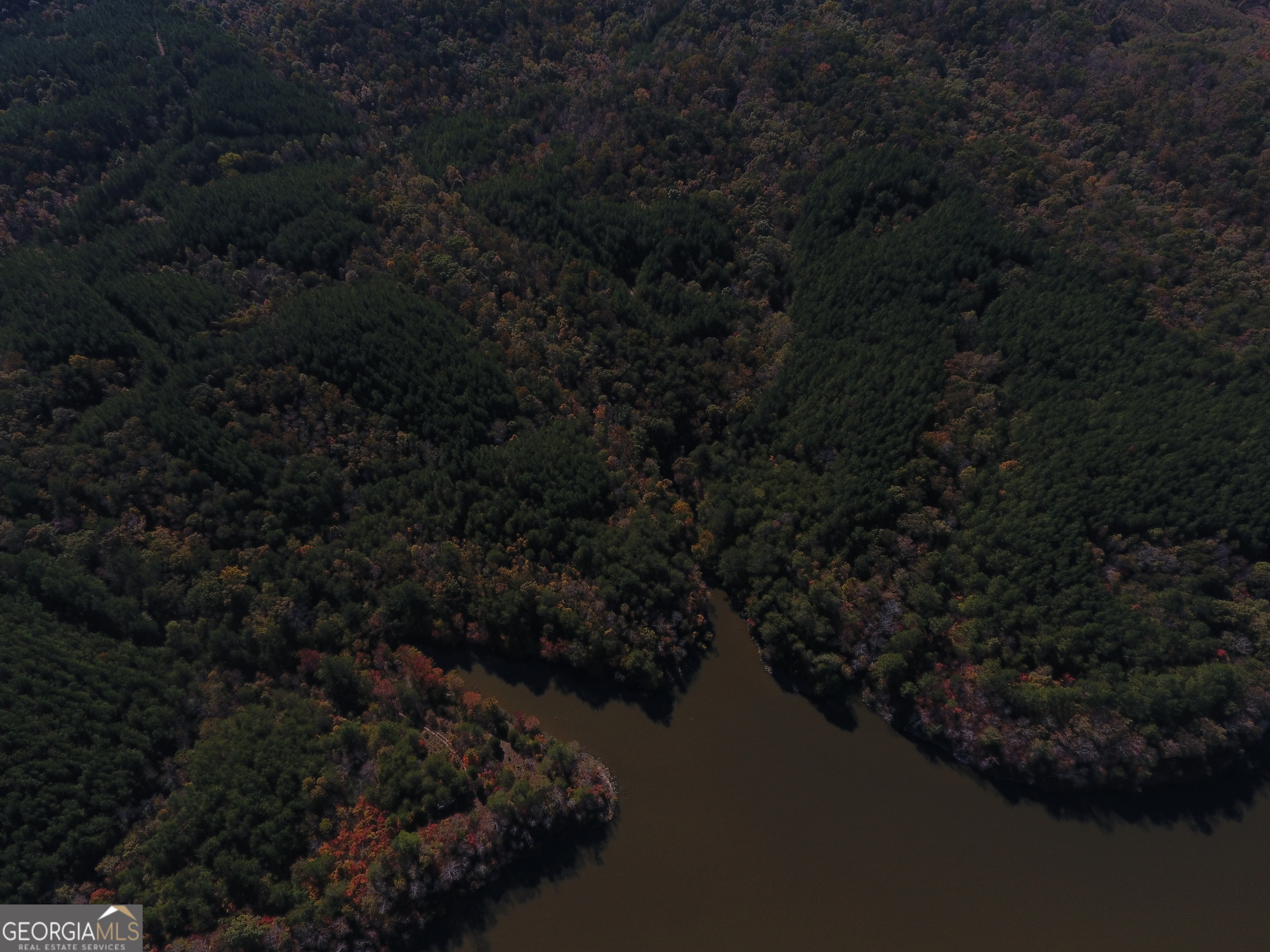 0 Red Bone Ridge Road, Unit 9616 Ranger, GA 30734 - Photo 23 of 31 a view of city and green space