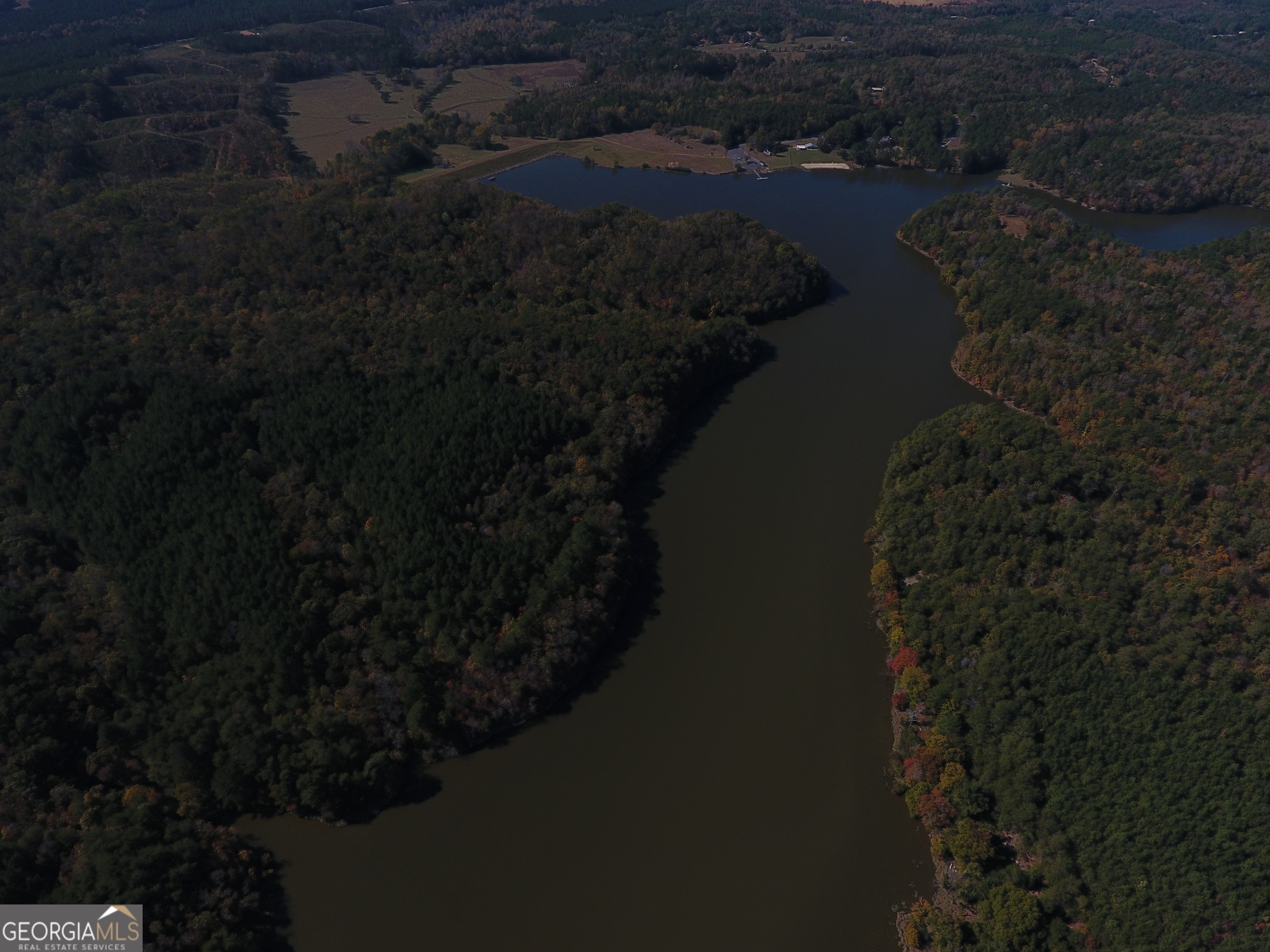 0 Red Bone Ridge Road, Unit 9616 Ranger, GA 30734 - Photo 24 of 31 a view of a lake in middle of forest