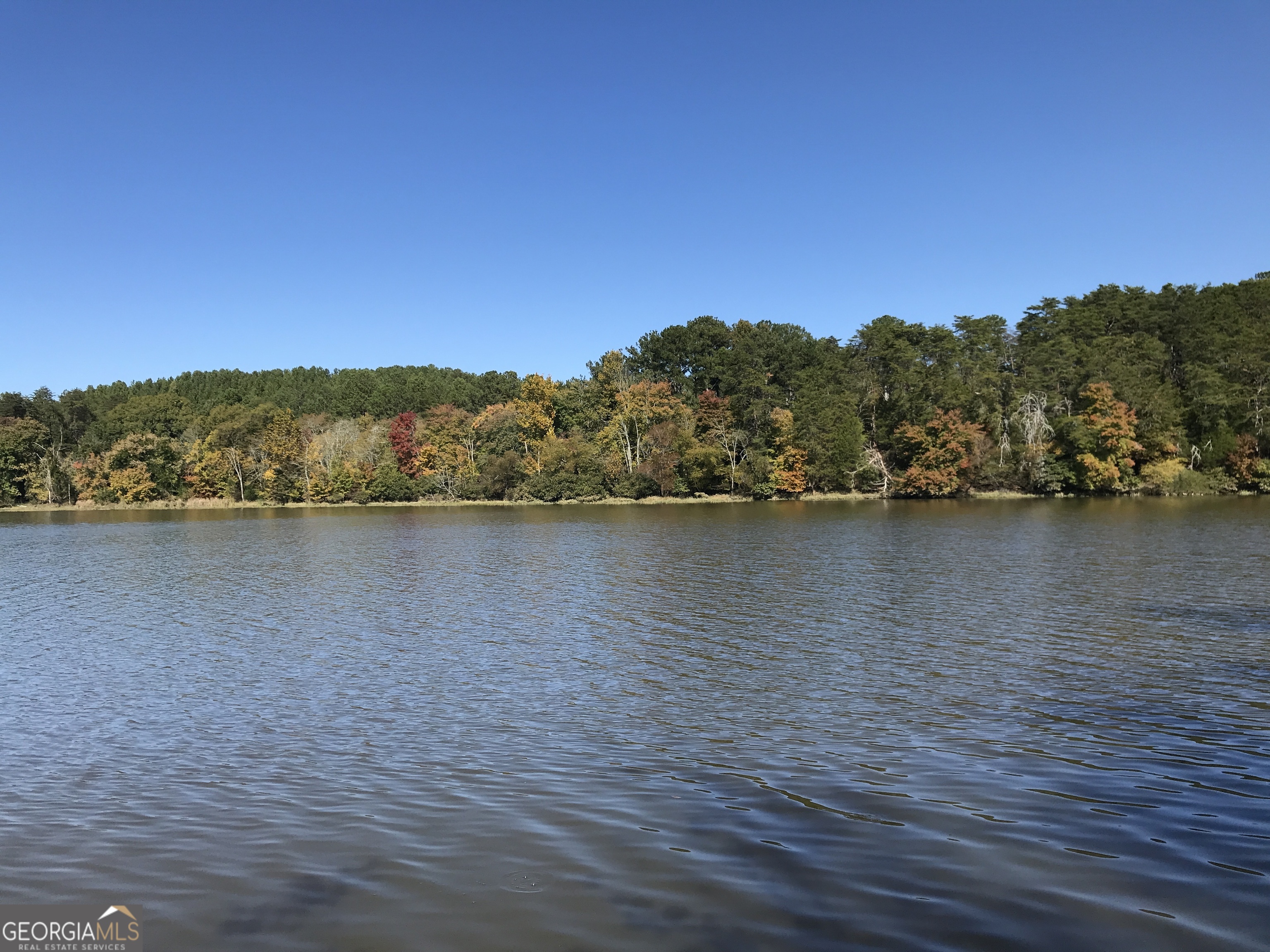 0 Red Bone Ridge Road, Unit 9616 Ranger, GA 30734 - Photo 3 of 31 a view of lake