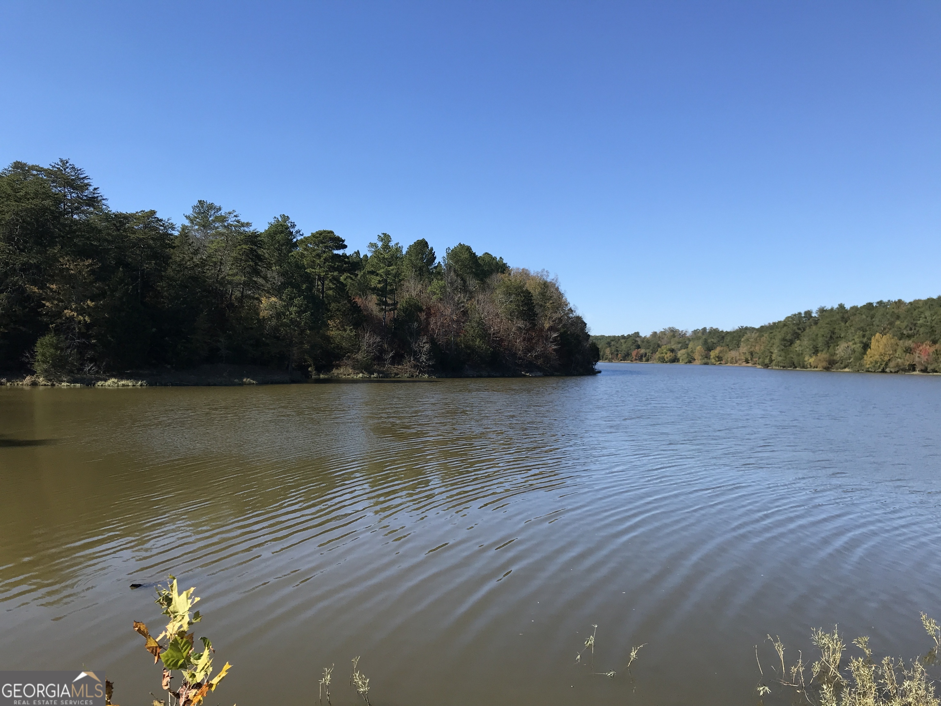 0 Red Bone Ridge Road, Unit 9616 Ranger, GA 30734 - Photo 6 of 31 a view of lake