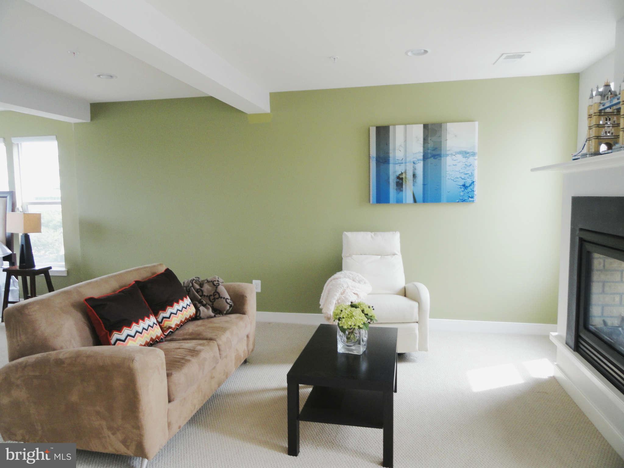 4159 Legato Road Fairfax, VA 22033 - Photo 16 of 25 a living room with furniture and a fireplace