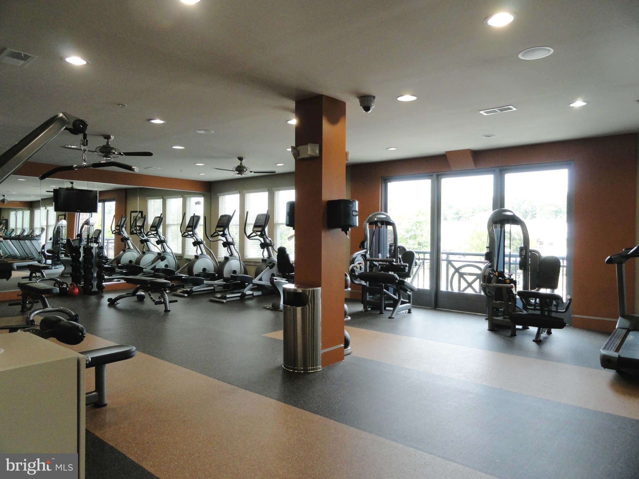 4159 Legato Road Fairfax, VA 22033 - Photo 19 of 25 a view of a room with gym equipment and floor to ceiling window