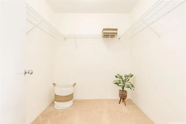 a bathroom with a toilet and a potted plant