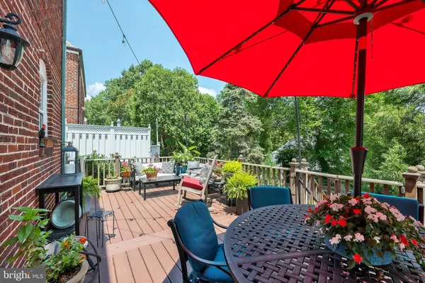 a view of a pathway with flower plants