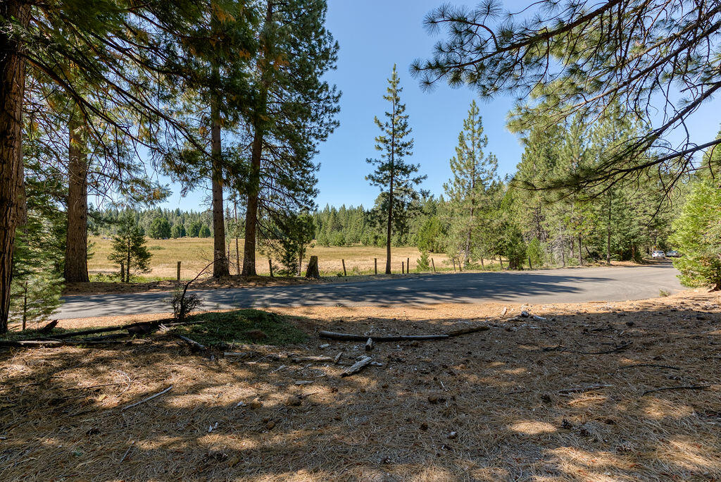 Lot 1 Deer Flat Road Shingletown, CA 96088 - Photo 1 of 13 Entry View