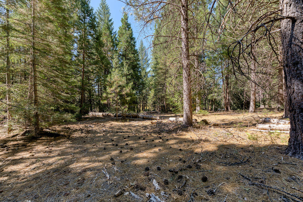 Lot 1 Deer Flat Road Shingletown, CA 96088 - Photo 3 of 13 Lot
