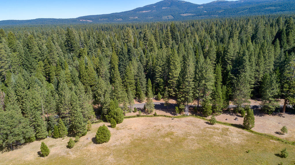 Lot 1 Deer Flat Road Shingletown, CA 96088 - Photo 4 of 13 View to West