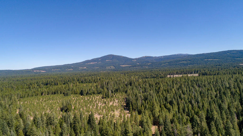 Lot 1 Deer Flat Road Shingletown, CA 96088 - Photo 6 of 13 Aerial View to West