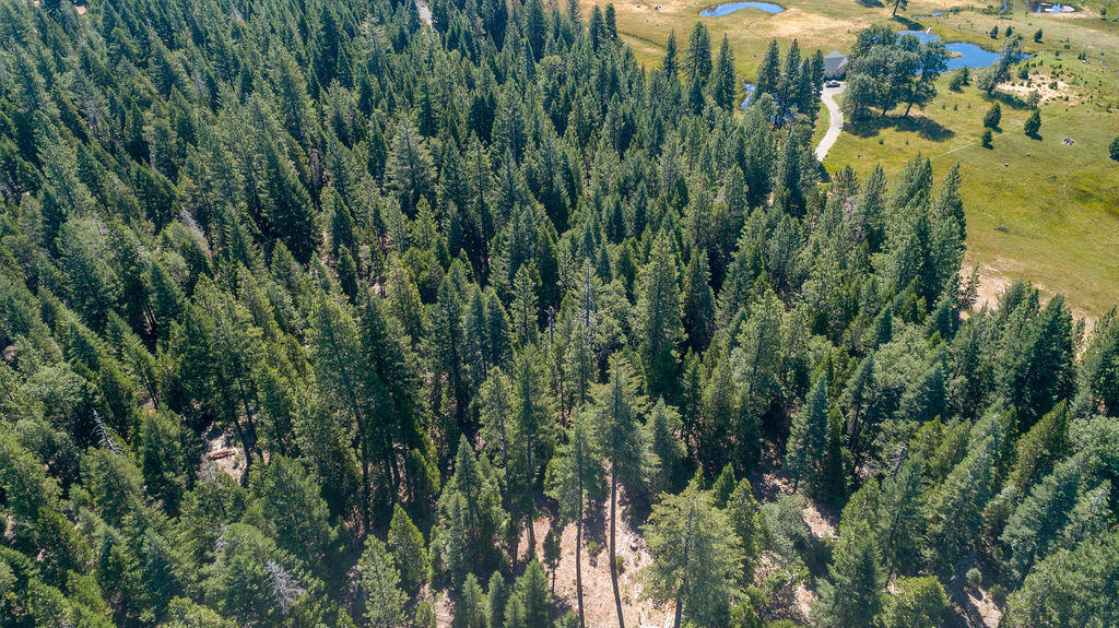 Lot 1 Deer Flat Road Shingletown, CA 96088 - Photo 7 of 13 Lot
