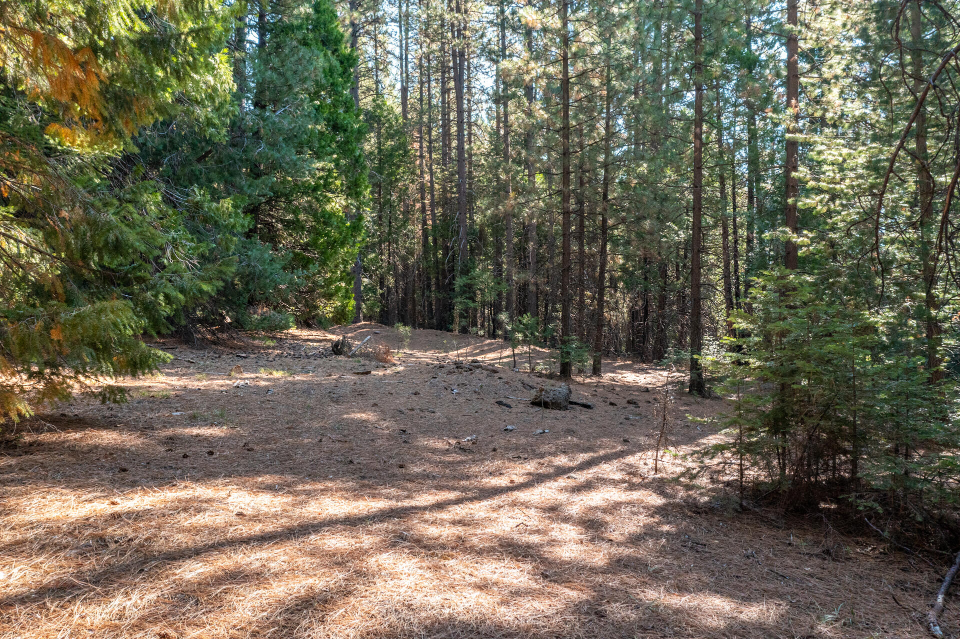 Lot 1 Deer Flat Road Shingletown, CA 96088 - Photo 9 of 13 Cleared Area