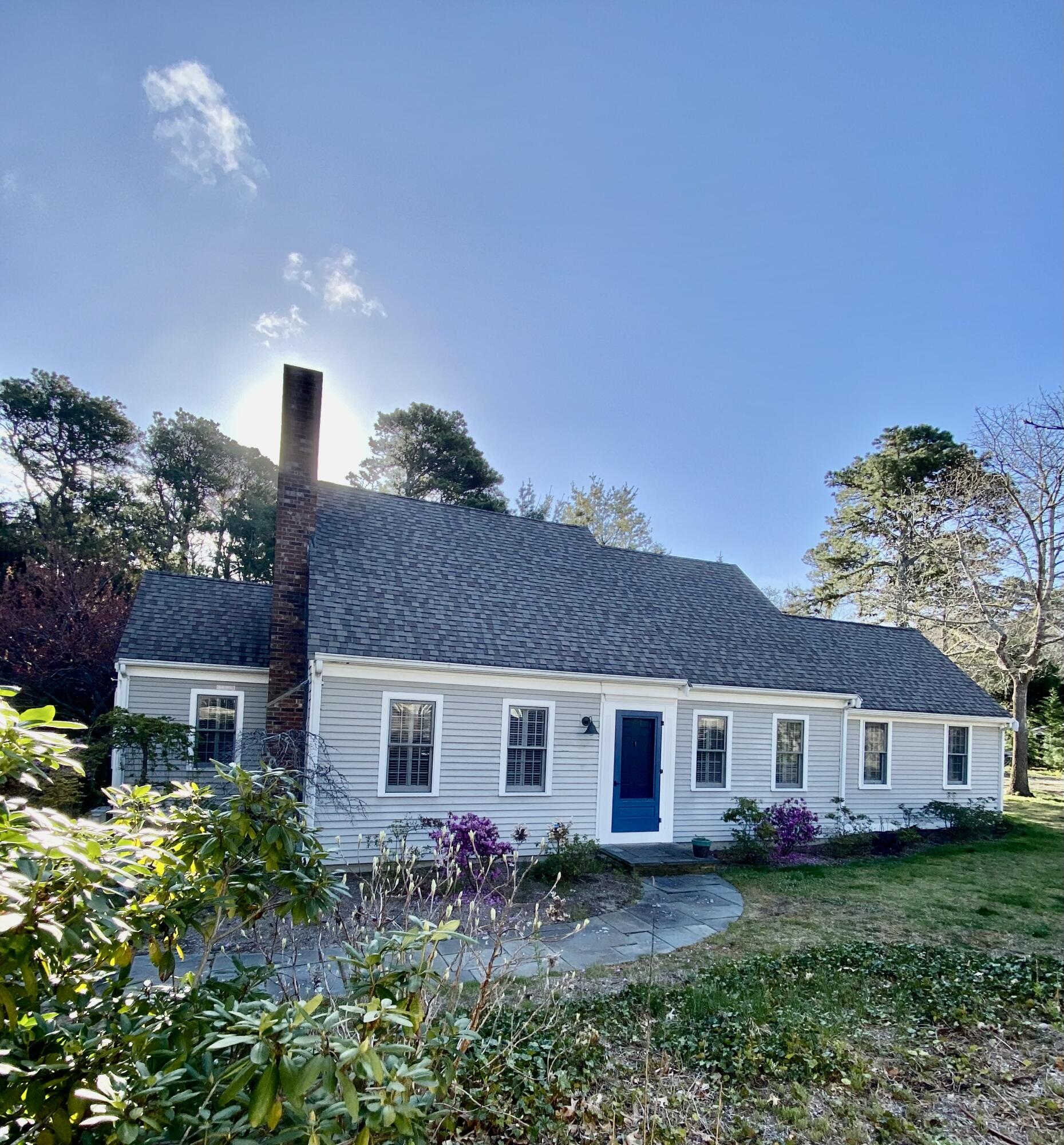 a view of a yard in front of a house with plants and large tree