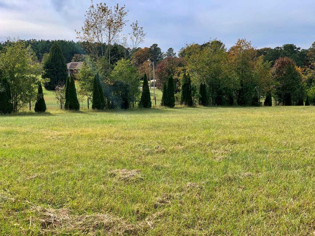 1147 Shaws Fork Road Aiken, SC 29805 - Photo 5 of 6