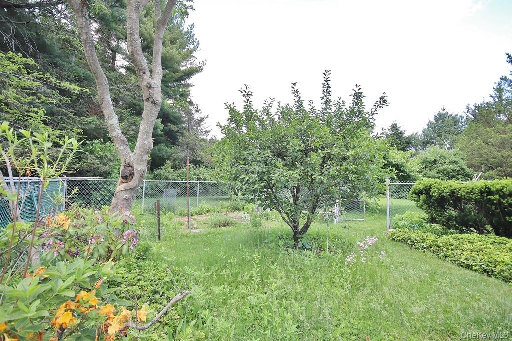 10 Lakeview Road Ossining, NY 10562 - Photo 34 of 38 Fenced-in Dog Run-Garden