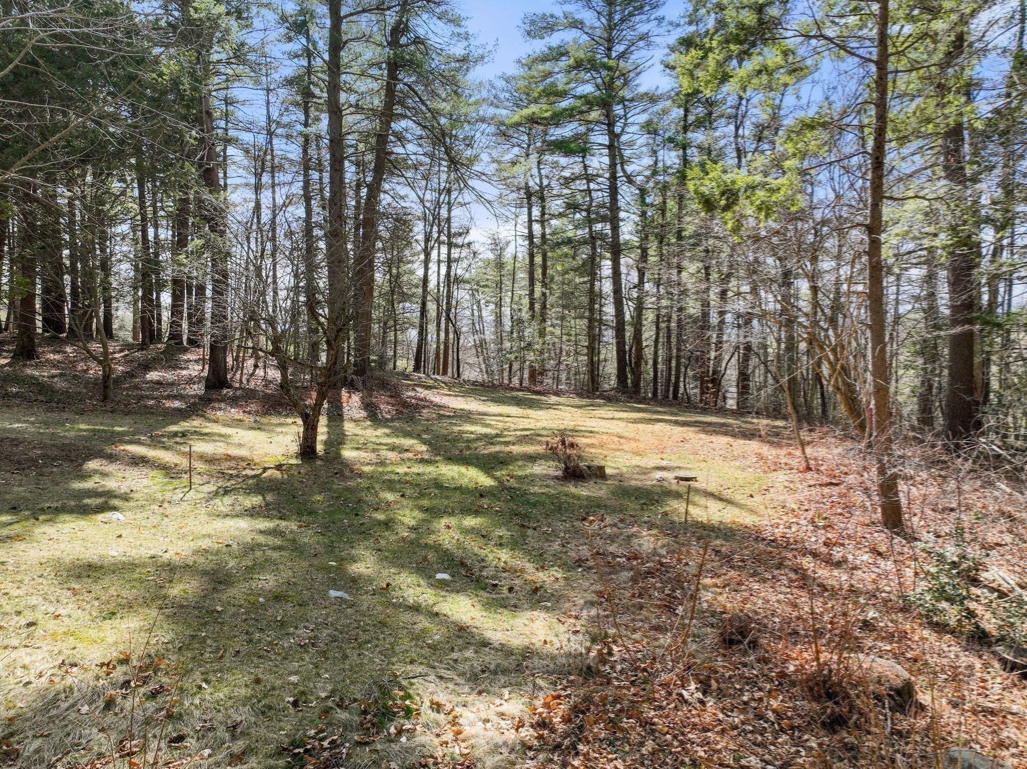 49 Concord Road Weston, MA 02493 - Photo 6 of 9 Gallery Image 6