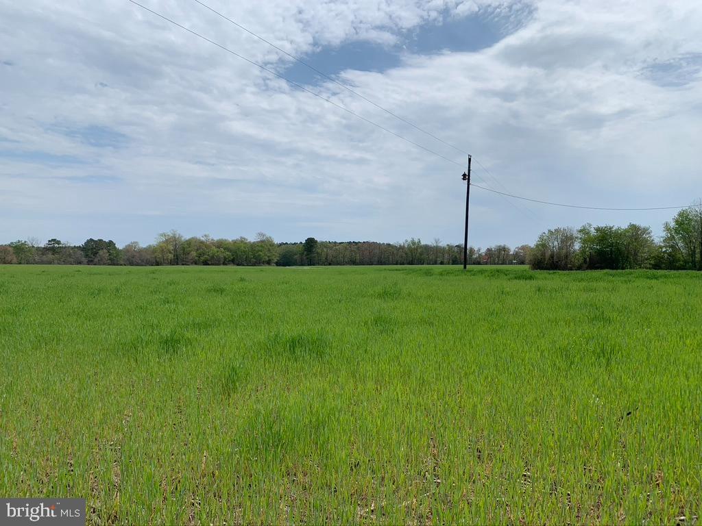 0 Gumboro Road Pittsville, MD 21850 - Photo 3 of 4 Gallery Image 3