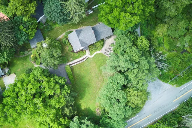 a view of a plant in a garden