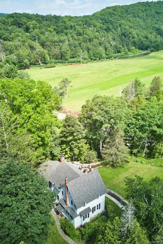 a view of a big yard with plants and large trees