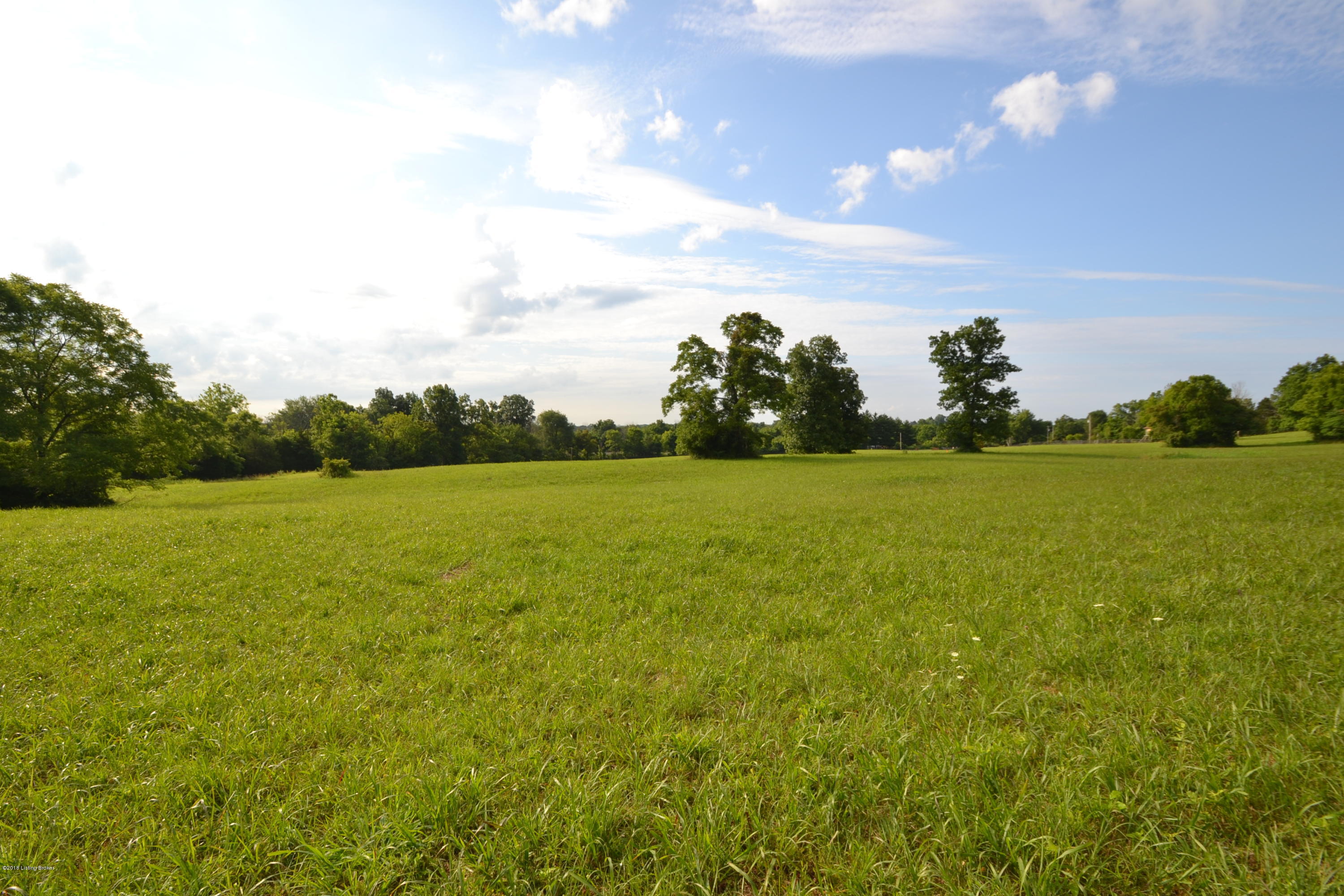 850 Webb Town Road Pendleton, KY 40055 - Photo 5 of 8 DSC_1130