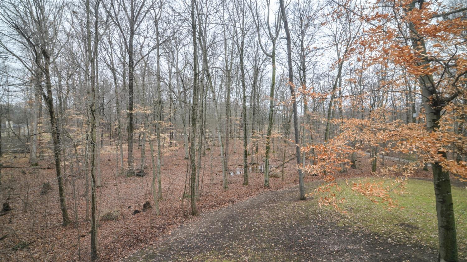 4975 Jacob Road Grass Lake, MI 49240 - Photo 53 of 79 Photo 53