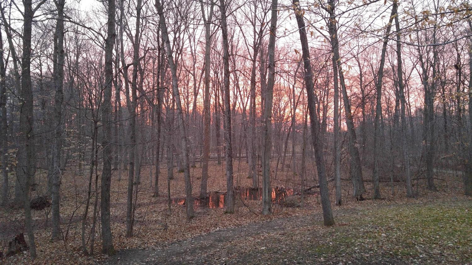 4975 Jacob Road Grass Lake, MI 49240 - Photo 56 of 79 Photo 56