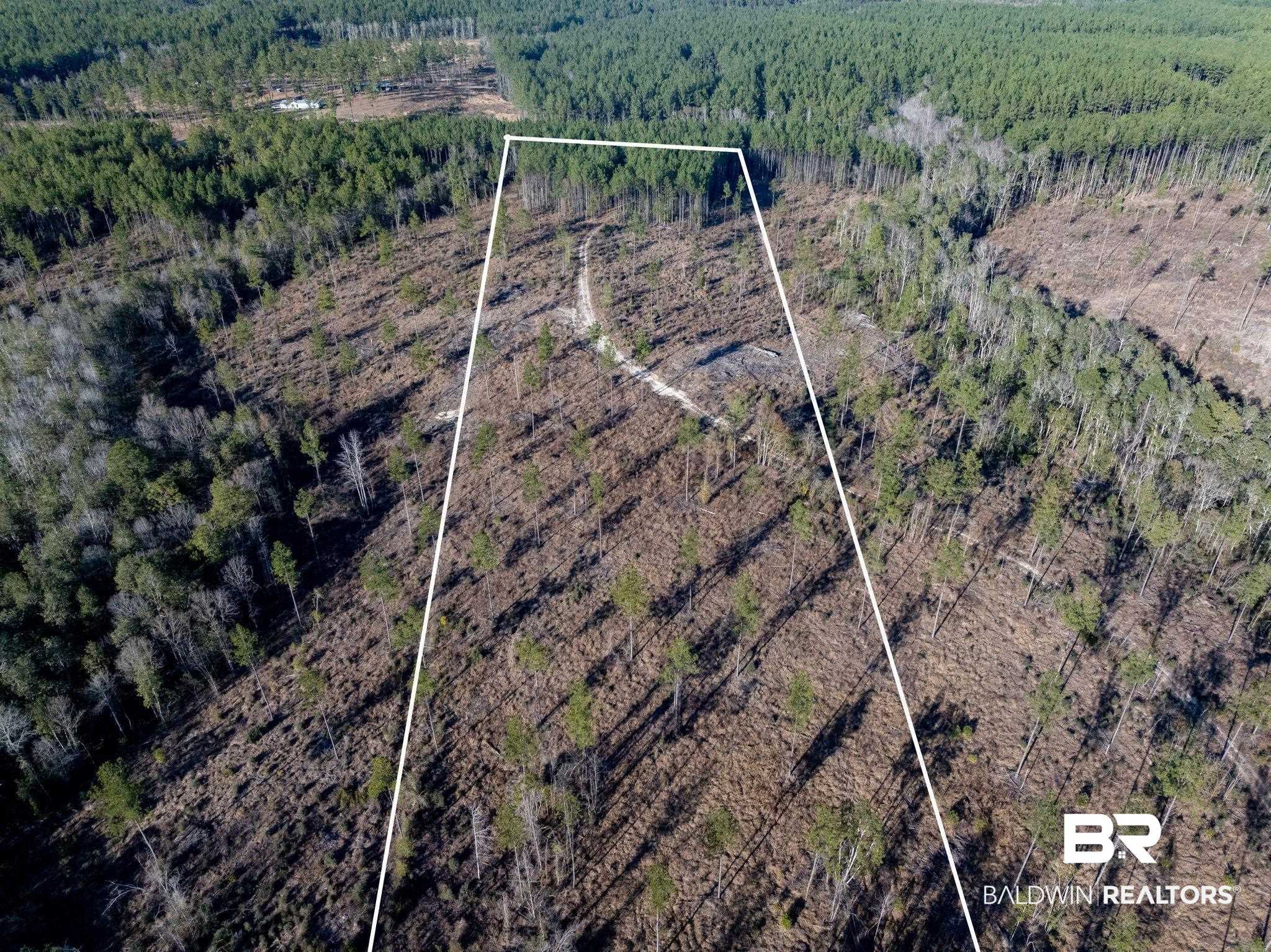 1 Beverly Jeffries Highway Citronelle, AL 36522 - Photo 7 of 12