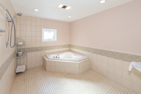 436 Lougheed Road Oneonta, NY 13820 - Photo 10 of 49 MAIN HOUSE LARGE BATHROOM, SPA ROOM
