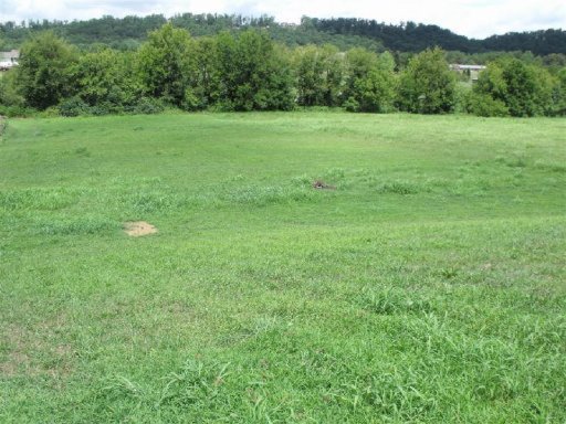1026 West Union Valley Road Seymour, TN 37865 - Photo 16 of 16 Additional Photo