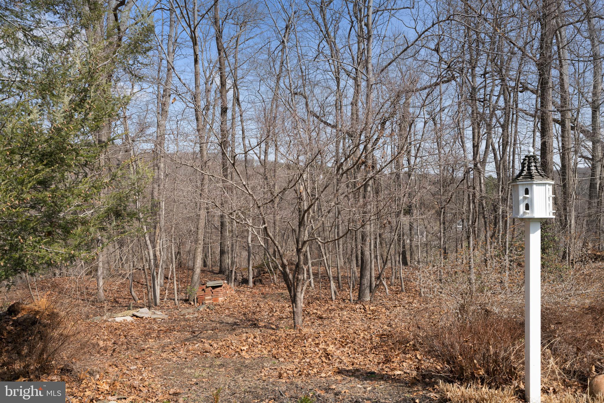 1116 Wiseburg Road Parkton, MD 21120 - Photo 53 of 54 a backyard of a house with lots of green space
