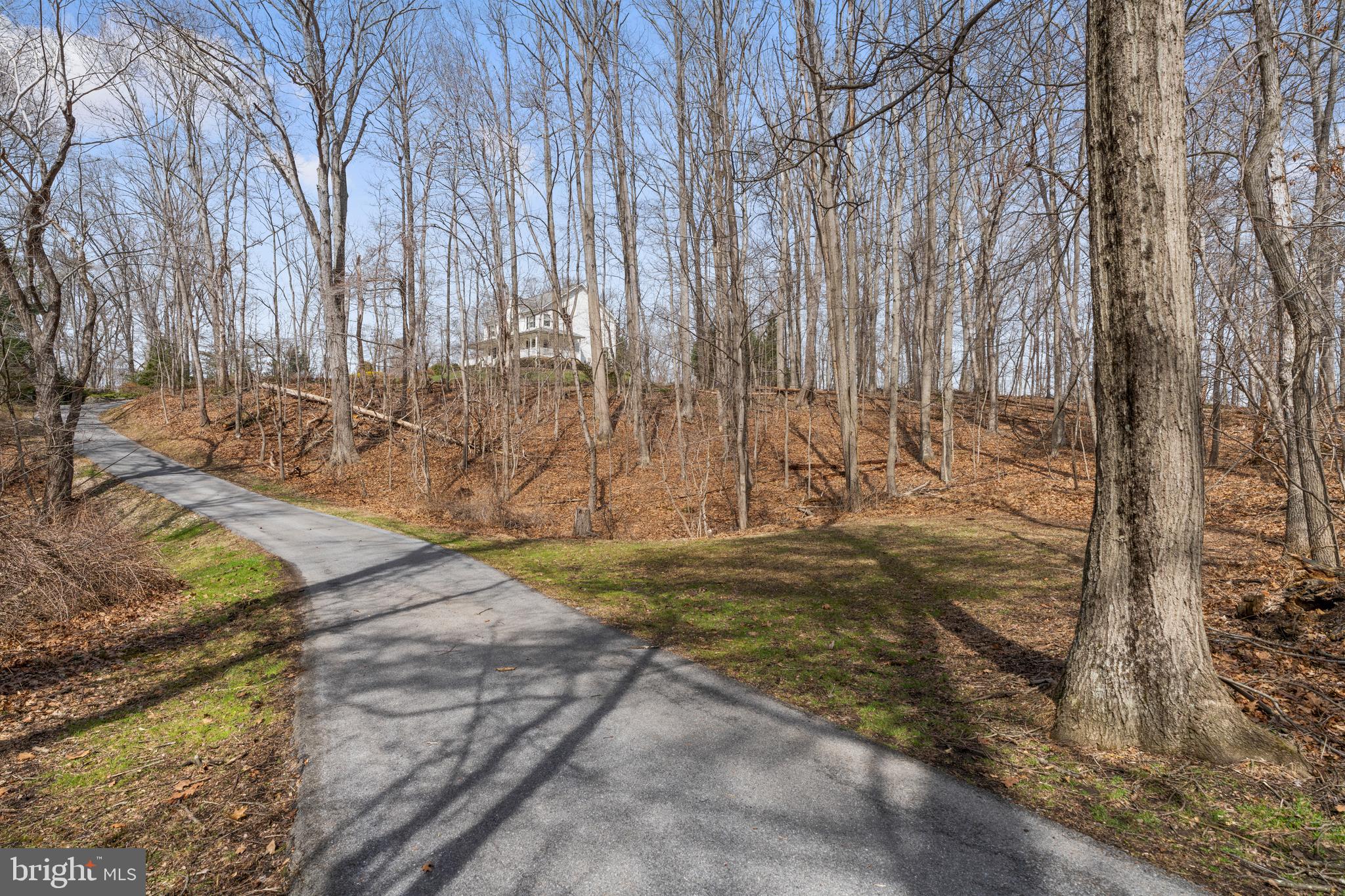 1116 Wiseburg Road Parkton, MD 21120 - Photo 54 of 54 a view of back yard of the house