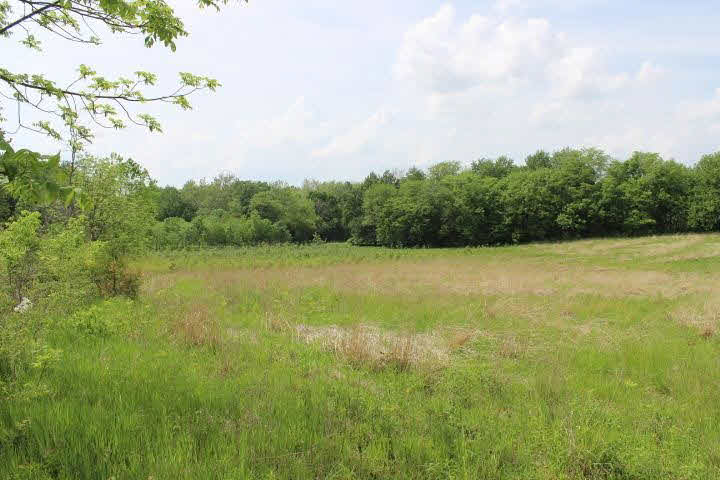 13440 East Edgewater Road Albany, IN 47320 - Photo 4 of 30