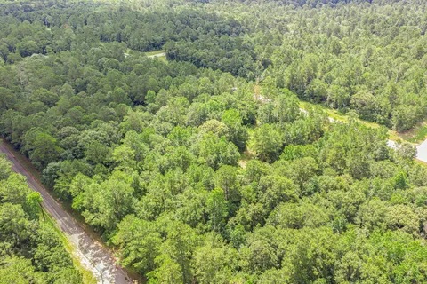 a view of a big yard with plants and large tree