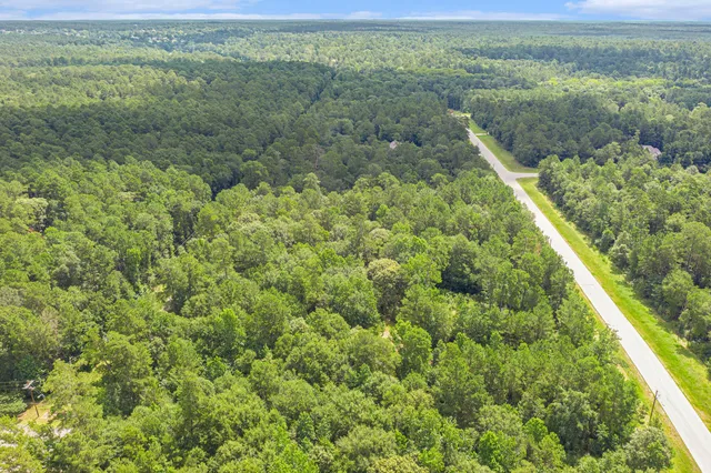 a view of a forest with a street