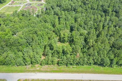 a view of a yard with plants and wooden fence