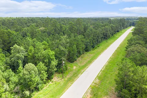 a view of a yard with a large trees and plants